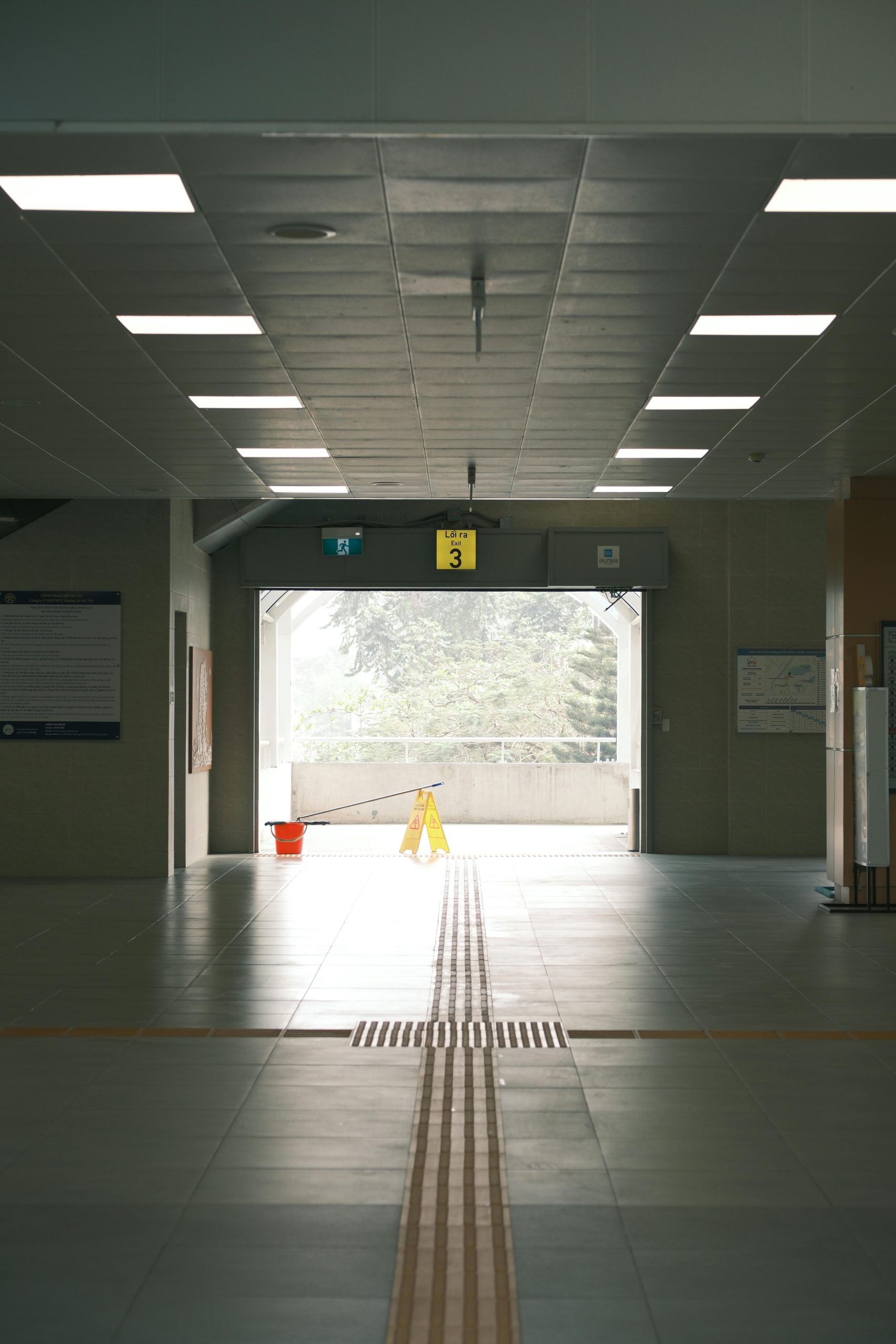 pexels thuan 33701233